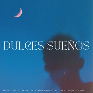 Dulces Sueños: Un Entorno Forestal Relajante Para Conciliar El Sueño En Minutos - Grabaciones de la naturaleza