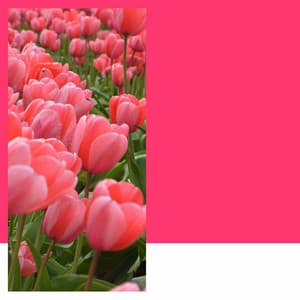 Music for Relaxing December - New York City Jazz