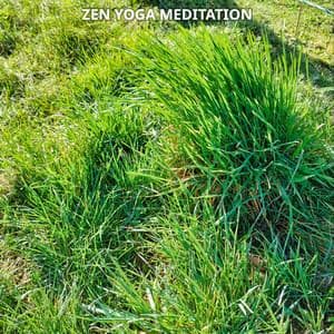 Zen Yoga Meditation Spirituality No. 2 - Meditation