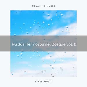 1 Ruidos Hermosos del Bosque vol. 2 - Sonidos de la Naturaleza para Dormir