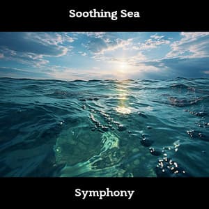 Soothing Sea Symphony - ASMR Ocean Waves