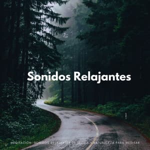Meditación: Sonidos Relajantes De Lluvia Y Naturaleza Para Meditar - Lluvia de Berlín