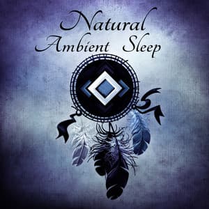Natural Ambient Sleep - Sounds of Nature for Deep Sleep, Relaxing Sounds and Long Sleeping Songs to Help You Relax at Night, Massage Therapy, Relaxation - Better Sleep Oasis