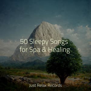 50 Sleepy Songs for Spa & Healing - Mantra para Dormir