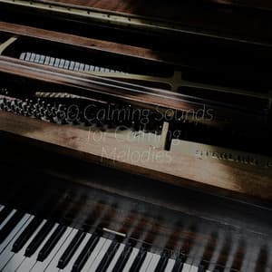 50 Calming Sounds for Calming Melodies - Ivory Mood