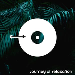 Journey of Relaxation: Exotic Sounds for Deep Relaxation, Mistical Sensation & Chillout - Absolutely Relaxing Oasis