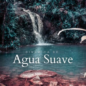 Dinámica De Agua Suave - Sonidos De Agua