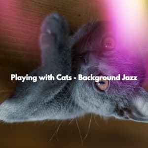 Playing with Cats - Background Jazz - Toronto Coffee Shop Jazz
