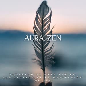 Exudando El Aura Zen En Los Latidos De La Meditación De Spa - Generar vibraciones