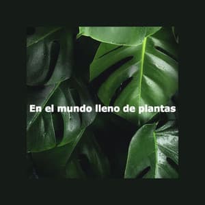 En el mundo lleno de plantas - Dinner Time Jazz
