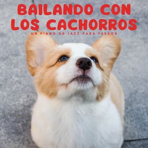 Bailando Con Los Cachorros: Un Piano De Jazz Para Perros - Salón con piano bar