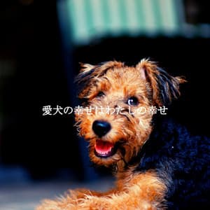 愛犬の幸せはわたしの幸せ - Brunch Jazz Playlist