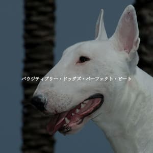 パウジティブリー・ドッグズ・パーフェクト・ビート - Hintergrund Jazz Musik