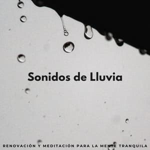 Sonidos De Lluvia: Renovación Y Meditación Para La Mente Tranquila - Meditación de lluvia