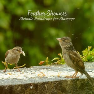 Feather Showers: Melodic Raindrops for Massage - Rainfall