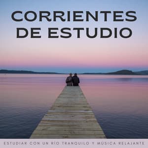 Corrientes De Estudio: Estudiar Con Un Río Tranquilo Y Música Relajante - Ciencia del Agua