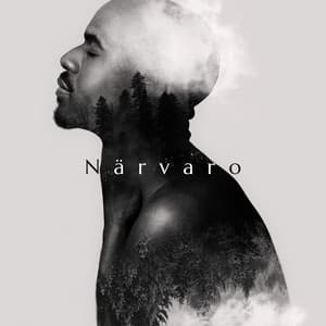 Närvaro - Mindfulness meditation världen