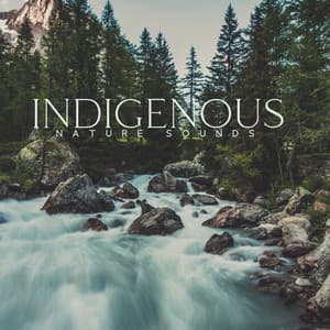 Indigenous Nature Sounds - Calm Nature Oasis