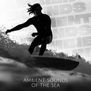 Ambient Sounds of the Sea - Ocean Waves For Sleep