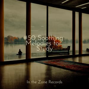 #50 Soothing Melodies for Study - Bird Sounds