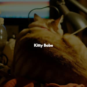 Kitty Babe - Lettura di Musica