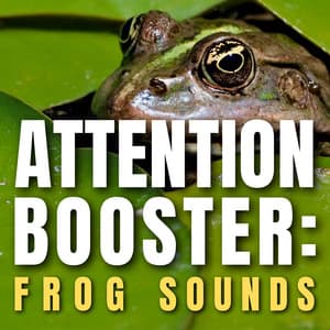 Attention Booster: Frog Sounds - Frog Sounds