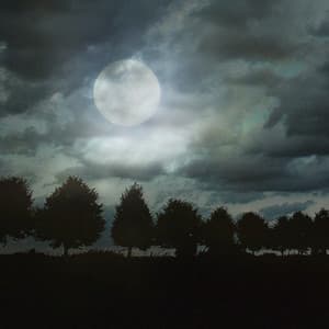 Dramatic Soundscapes - Andrew Potterton