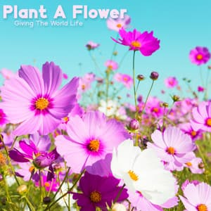 Plant A Flower: Giving The World Life - Living Liquid