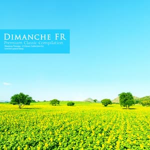 A Classic Collection for Uninterrupted Sleep - Dimanche FR