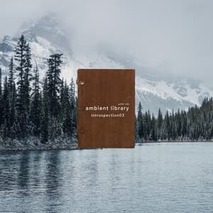 Ambient Library - Introspection03 - Peter Ries