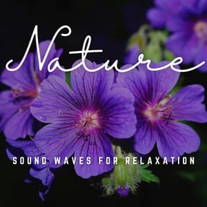 Harmonic Bliss: Sound Waves for Relaxation - Relaxing Zen Music Therapy