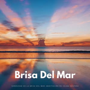 Serenidad De La Brisa Del Mar: Meditación De Calma Costera - Olas del Mar