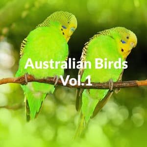 Australian Birds Vol 1 - Australian Nature