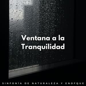 Ventana A La Tranquilidad: Sinfonía De Naturaleza Y Enofque - Lluvia de Lofi