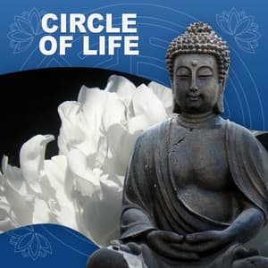 Circle of Life - Peaceful Music, Relaxing Music, Meditation Calmness, Chakra Balancing, Relax Yourself - Chakra Balancing Music Oasis