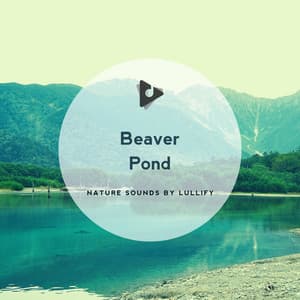 Beaver Pond - Nature Sounds by Lullify
