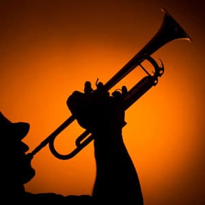 Cool Jazz Tunes for Peaceful Reflection Time - Cool Jazz Chill