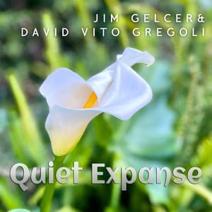 Quiet Expanse - Jim Gelcer