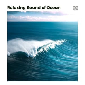 Relaxing Sound of Ocean - Sonidos De Agua