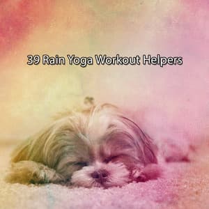 39 Rain Yoga Workout Helpers - Musica para Dormir 101