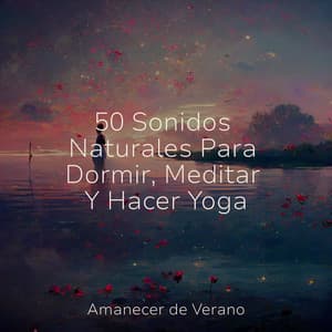 50 Sonidos Naturales Para Dormir, Meditar Y Hacer Yoga - Sonido Del Bosque y Naturaleza