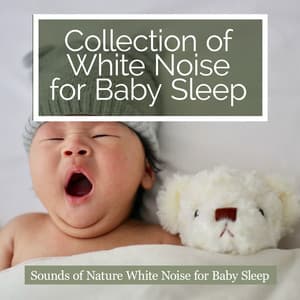 Collection of White Noise for Baby Sleep - Sounds of Nature White Noise for Baby Sleep