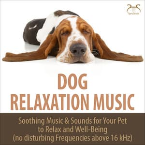 Dog Relaxation Music - Soothing Music & Sounds for Your Pet to Relax and Well-Being - Dog Music TA
