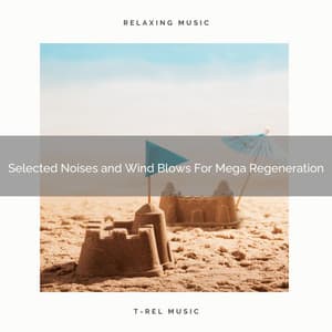 Selected Noises and Wind Blows For Mega Regeneration - Dreamy White Noise