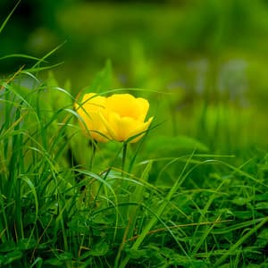 0 Hour: Emerging From The Past - between waves