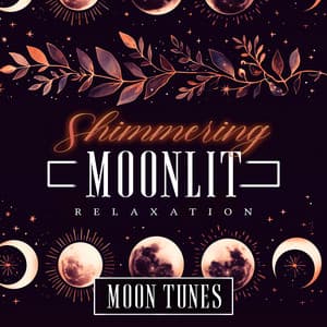 Shimmering Moonlit Relaxation - Moon Tunes