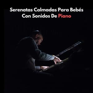Serenatas Calmadas Para Bebés Con Sonidos De Piano - Cubiertas antipolvo para piano