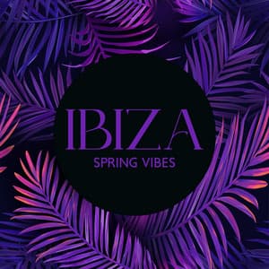 Ibiza Spring Vibes: Sunny Chill House, Sunset Lounge Bar and Restaurant - Dj Chilling del Mar