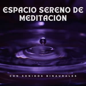 Espacio sereno de meditación con sonidos binaurales - Grabaciones de ritmos binaurales