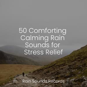 50 Comforting Calming Rain Sounds for Stress Relief - Relaxing Rain Sounds